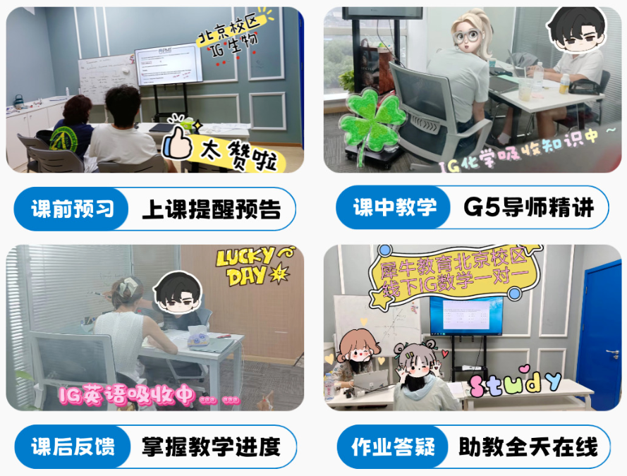 935fed73a47d9df43dff64dc306d3a56.png