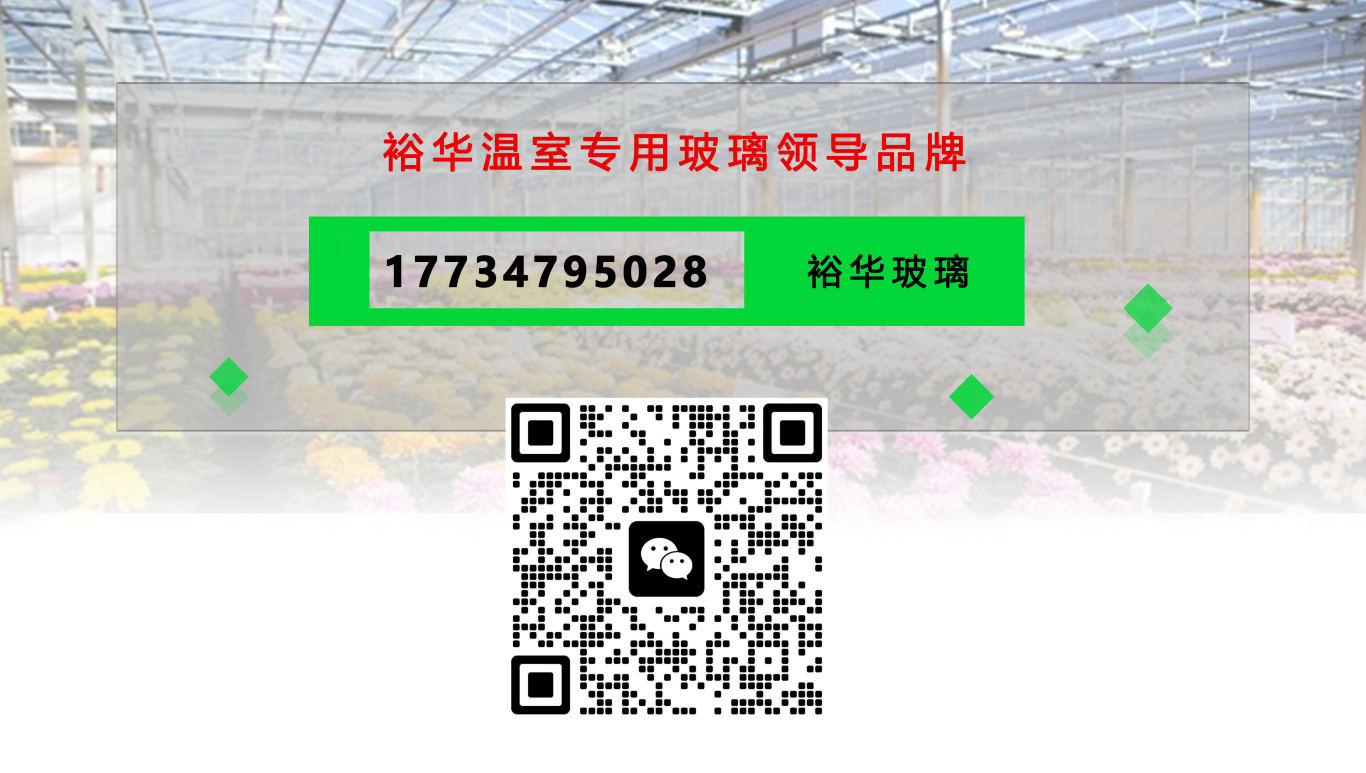 文章頭圖.jpg