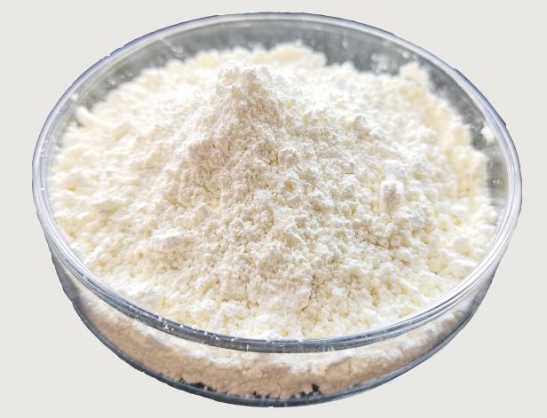 ferulic acid powder.jpg
