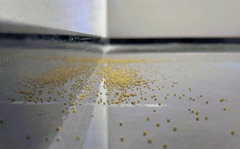 3.gif