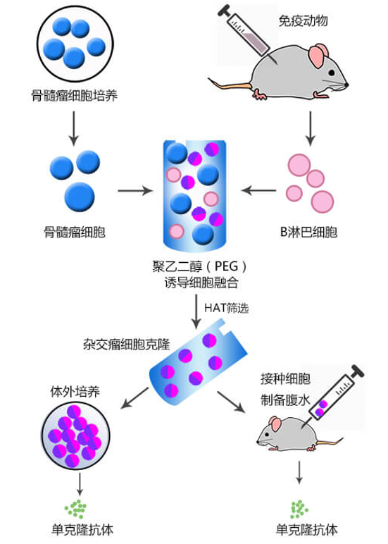 微信图片_20250513170956.png