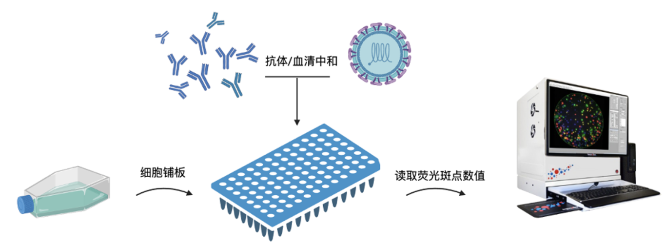 微信图片_20250508150643.png