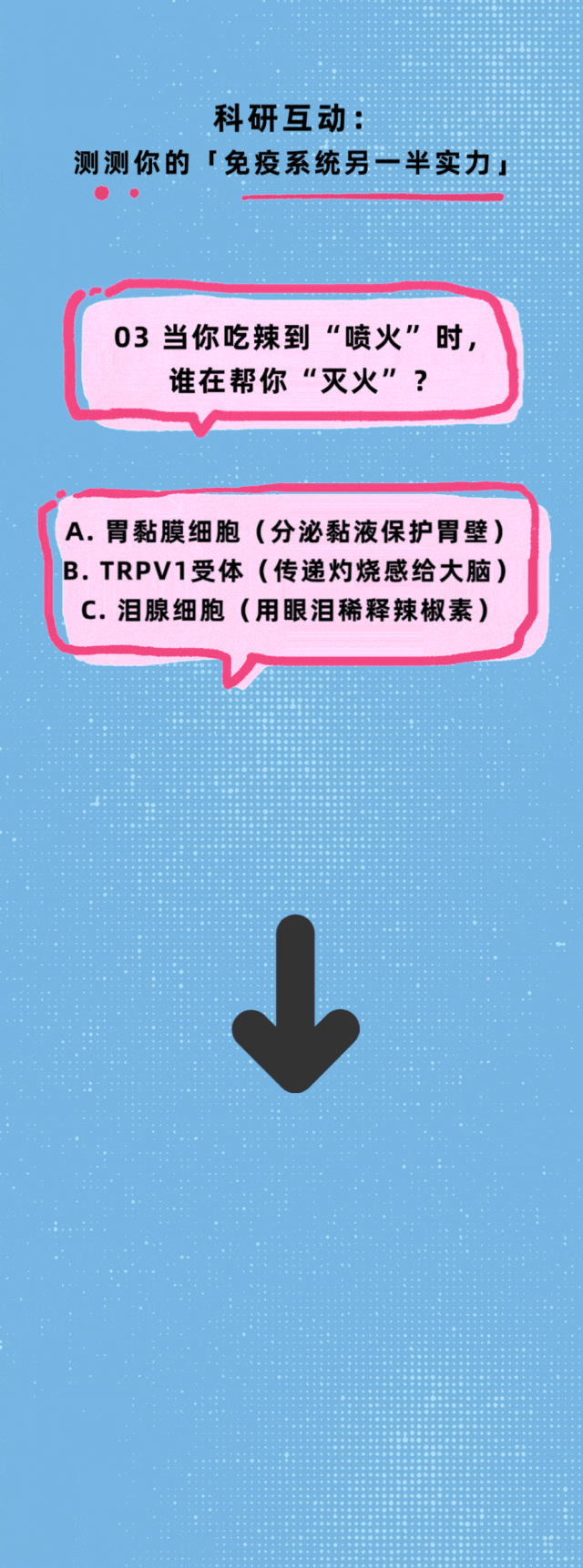 11.gif