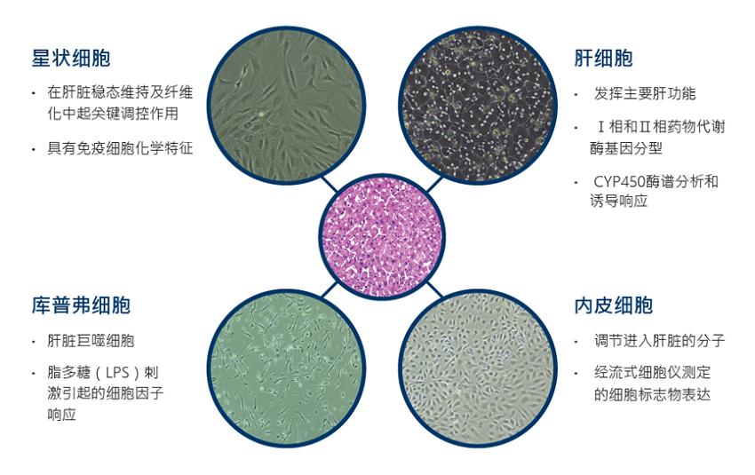 微信图片_20250703155640.png