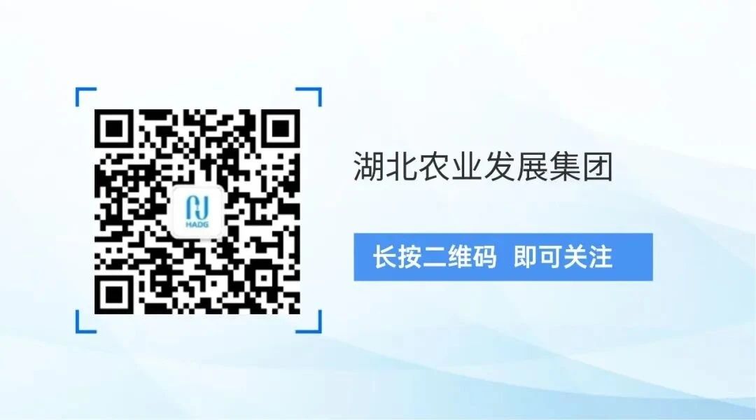 微信图片_2025-09-16_163151_507.jpg
