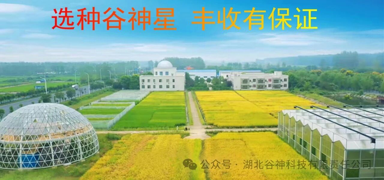 微信图片_2025-09-16_161635_481.jpg