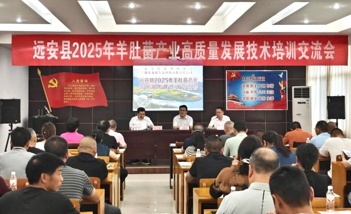 微信图片_2025-09-16_163131_719.jpg