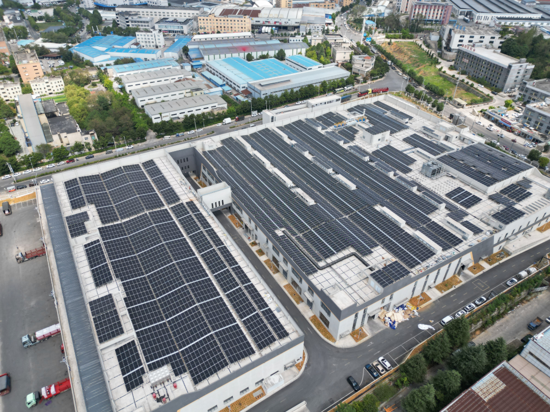 DJI_0546.JPG