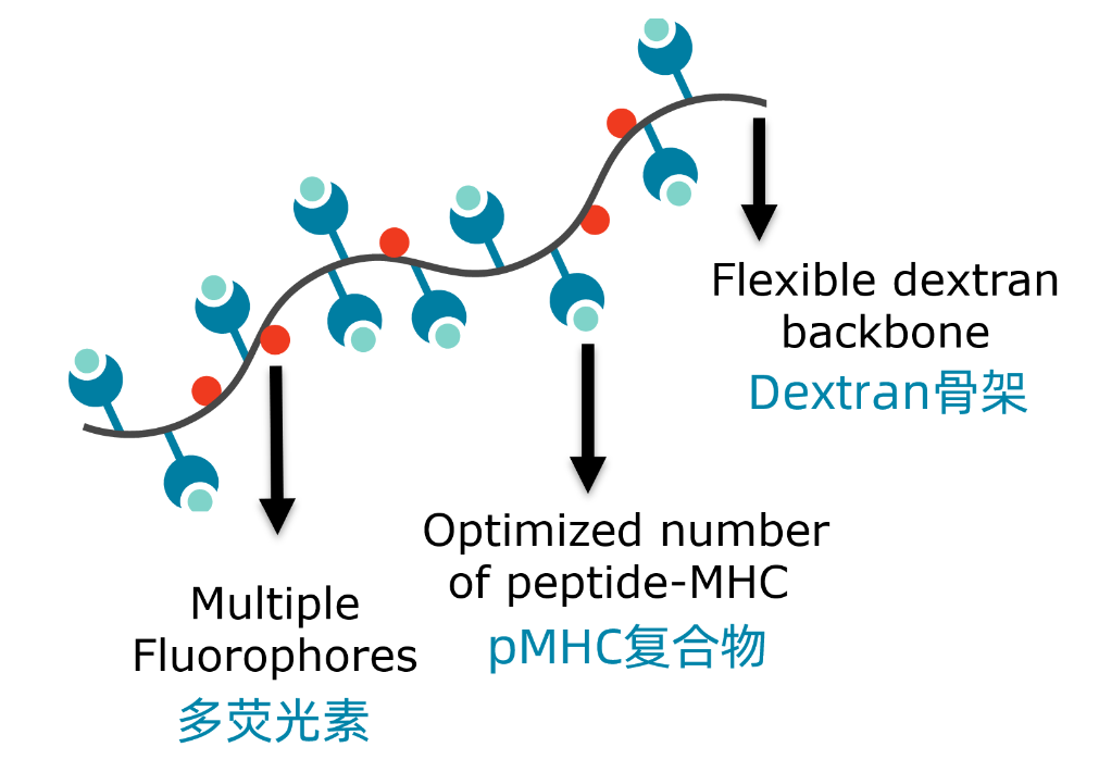 微信图片_20250627092655.png
