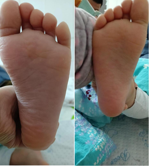 1750231095596.jpg