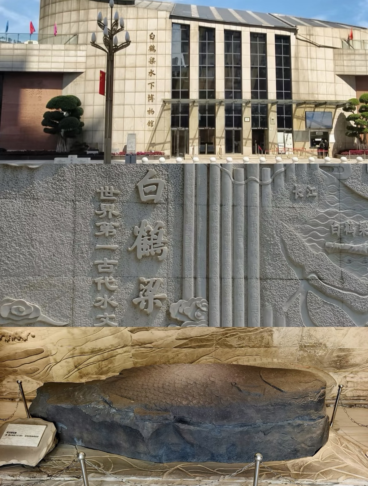 undefined 党建活动|协会党支部赴涪陵区开展主题党建活动