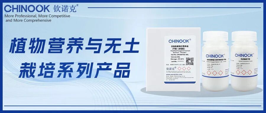 植物 营养液.jpg