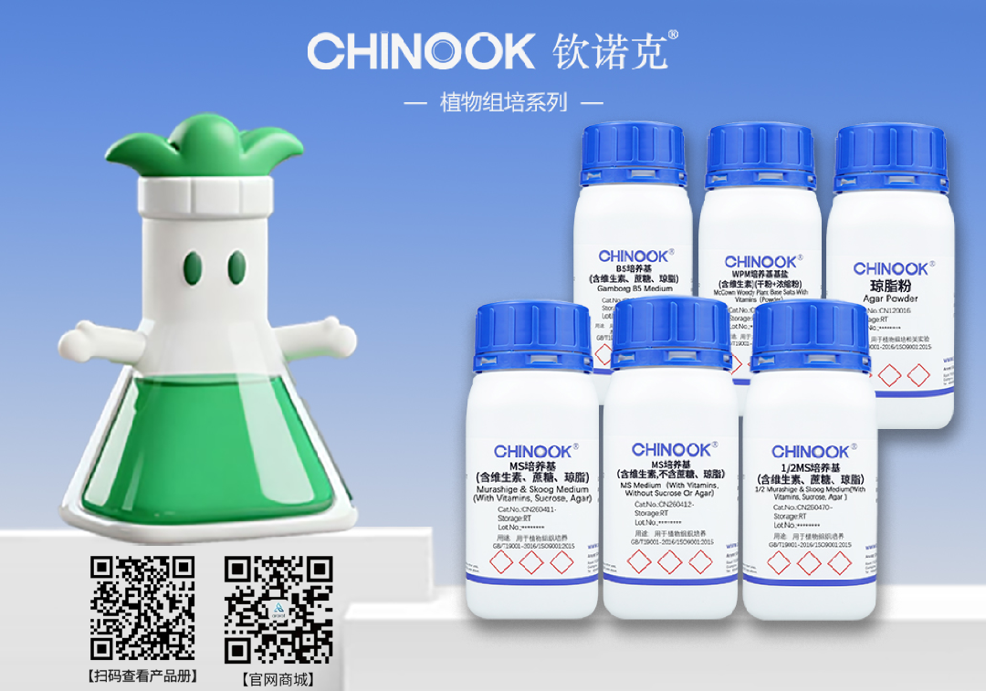 植物组培.png
