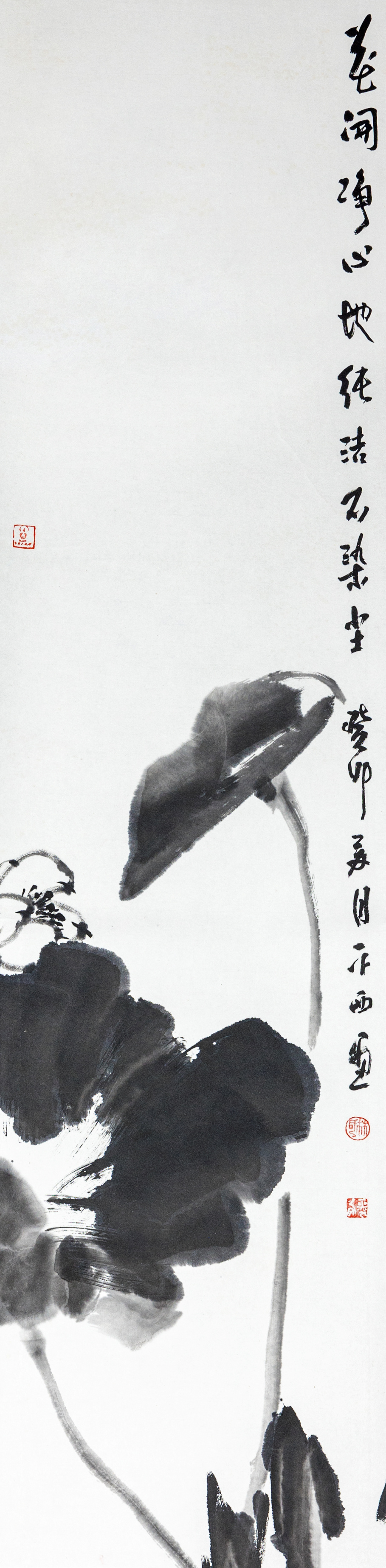 花开静心地，纯洁不染尘.jpg