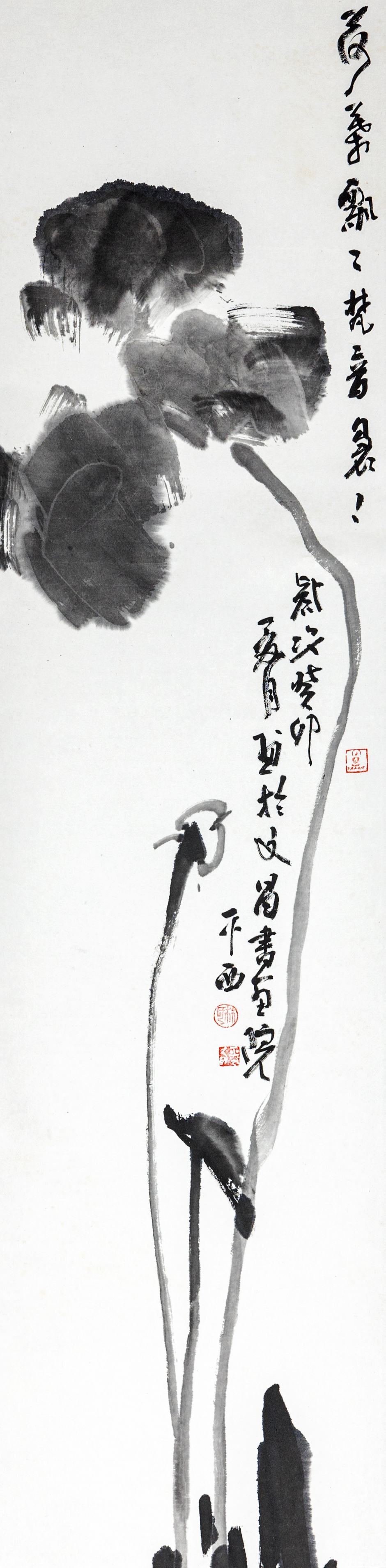 荷叶飘飘，清音袅袅.jpg