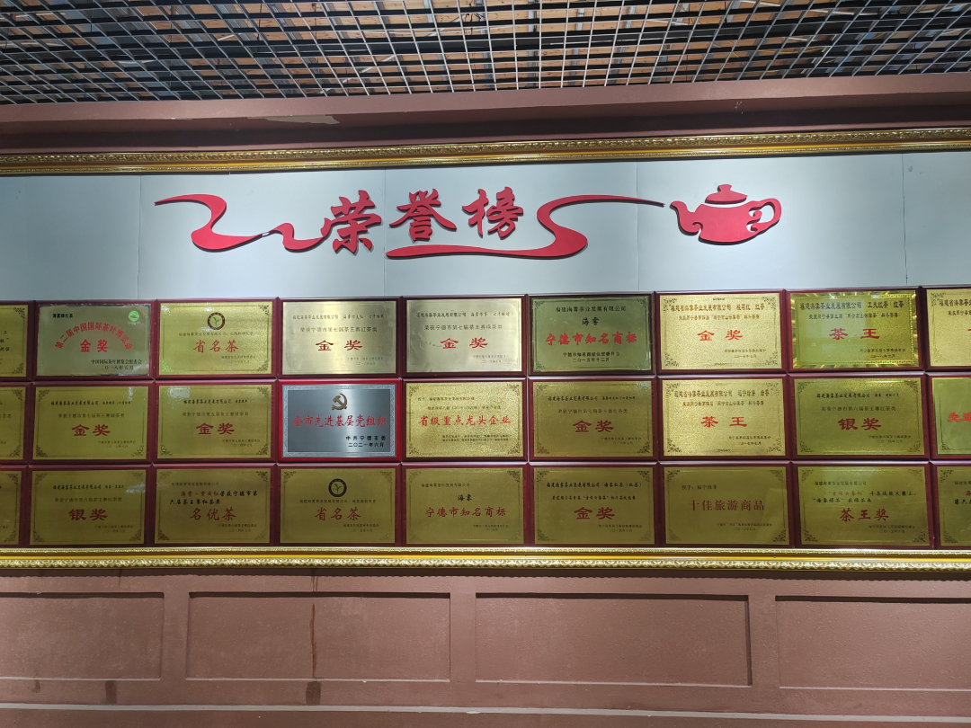 前往海雾茶业调研2.jpg