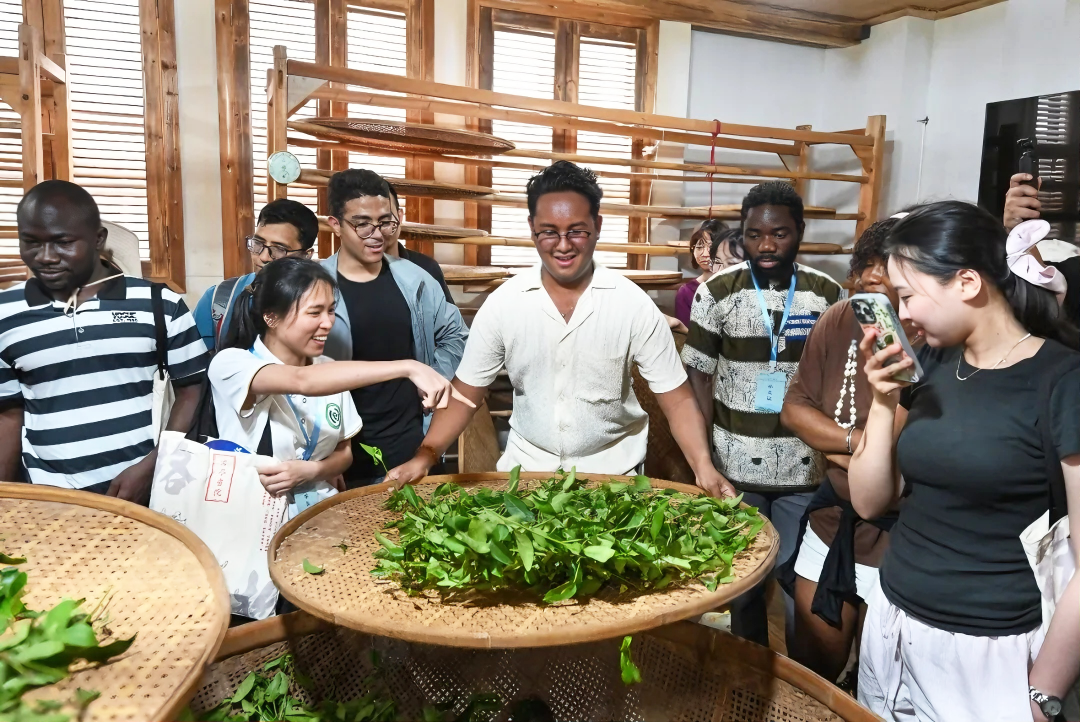 2025汉学青年学者研习营营员在武夷山体验武夷茶文化（张行健 朱宇 摄）.png