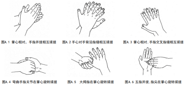 2026世界手卫生日 | 行动守护生命，从这一双手开始