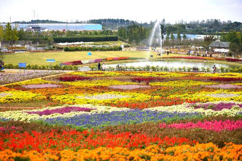 binary_middle (2).jpg