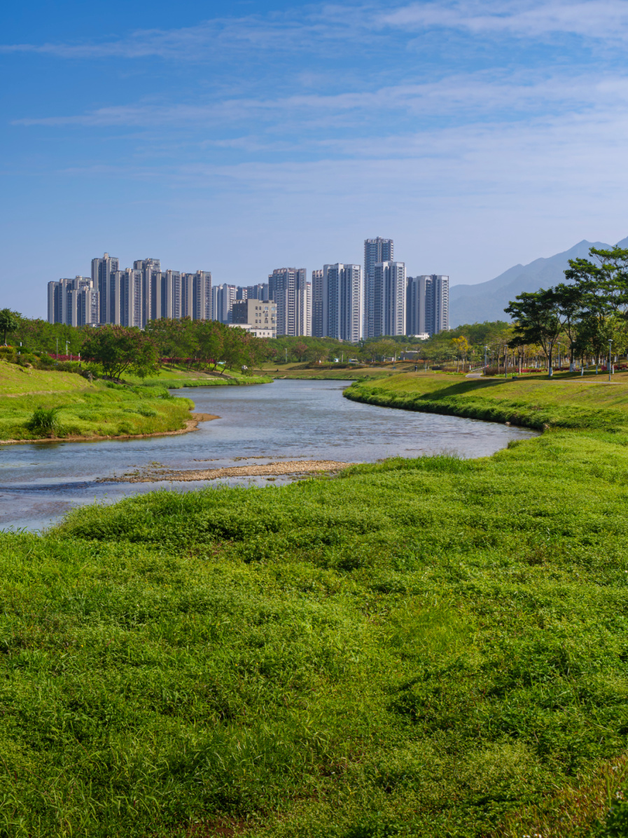 摄图网_700972356_深圳坪山城市绿地河流与现代建筑生态风光（企业商用）.jpg
