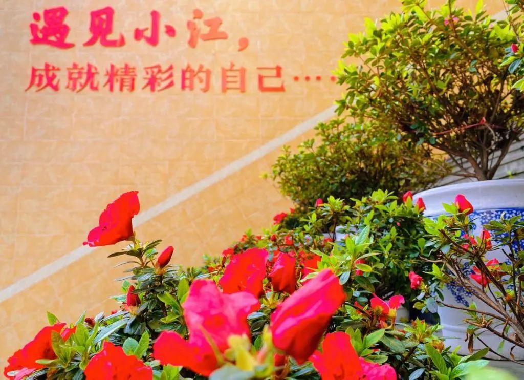 微信图片_20250513151707.jpg