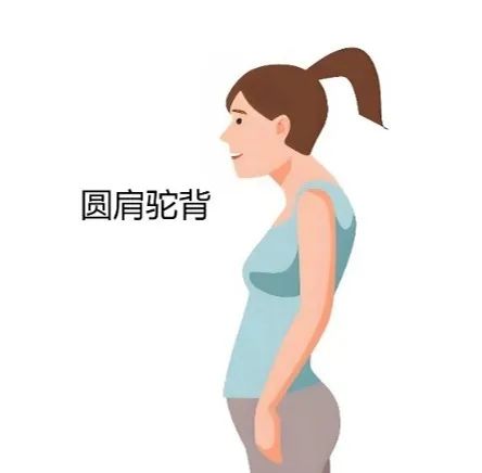 18d73136804cb8fe63106273d098e849.jpg