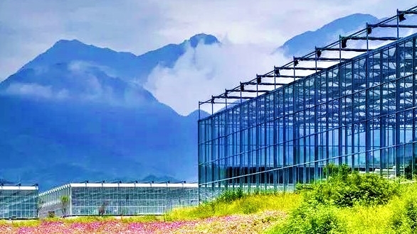 花涧里10_1.jpg