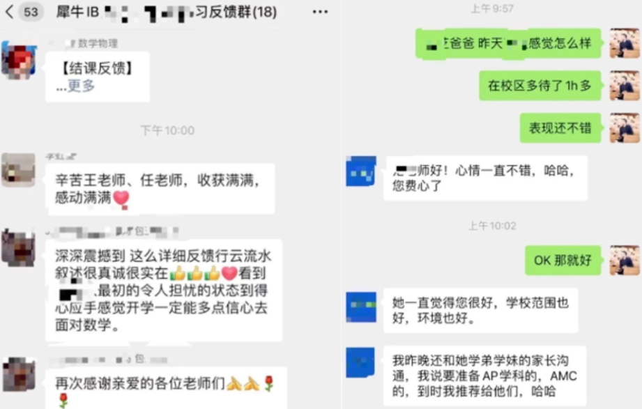 IB课程反馈.png