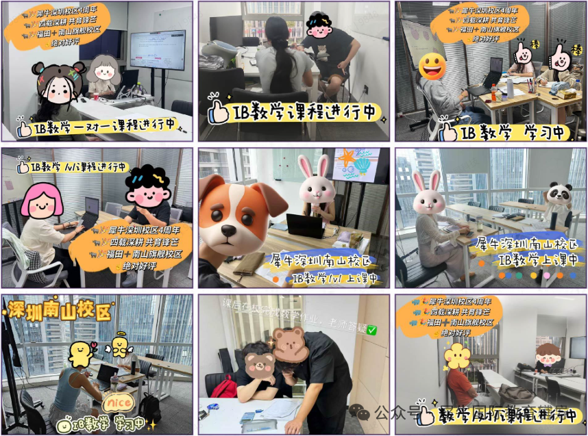 IB上课.png
