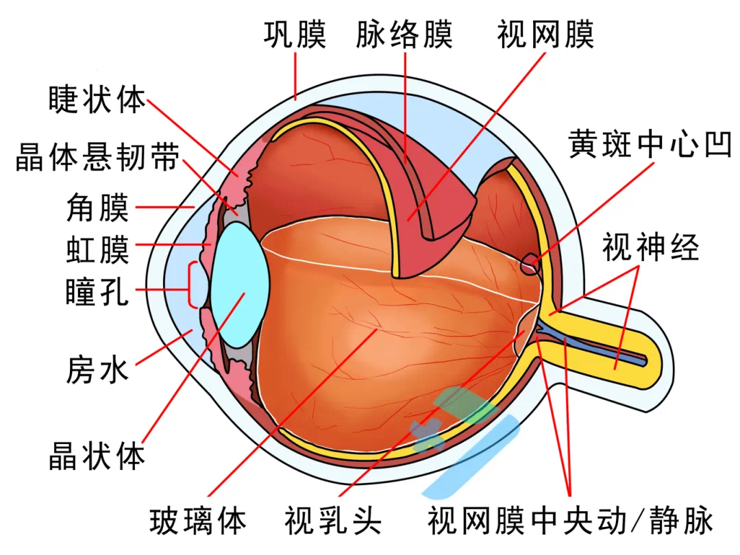汕头博德眼科医院