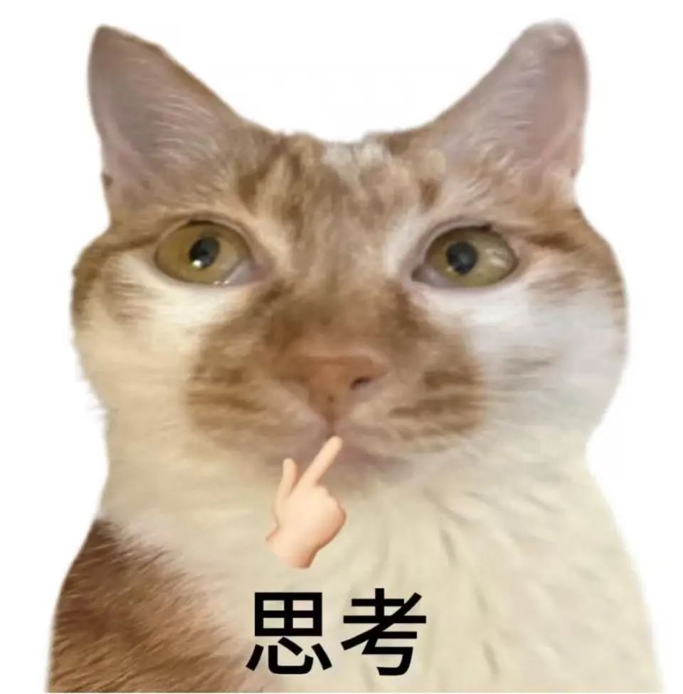 猫咪思考.jpg