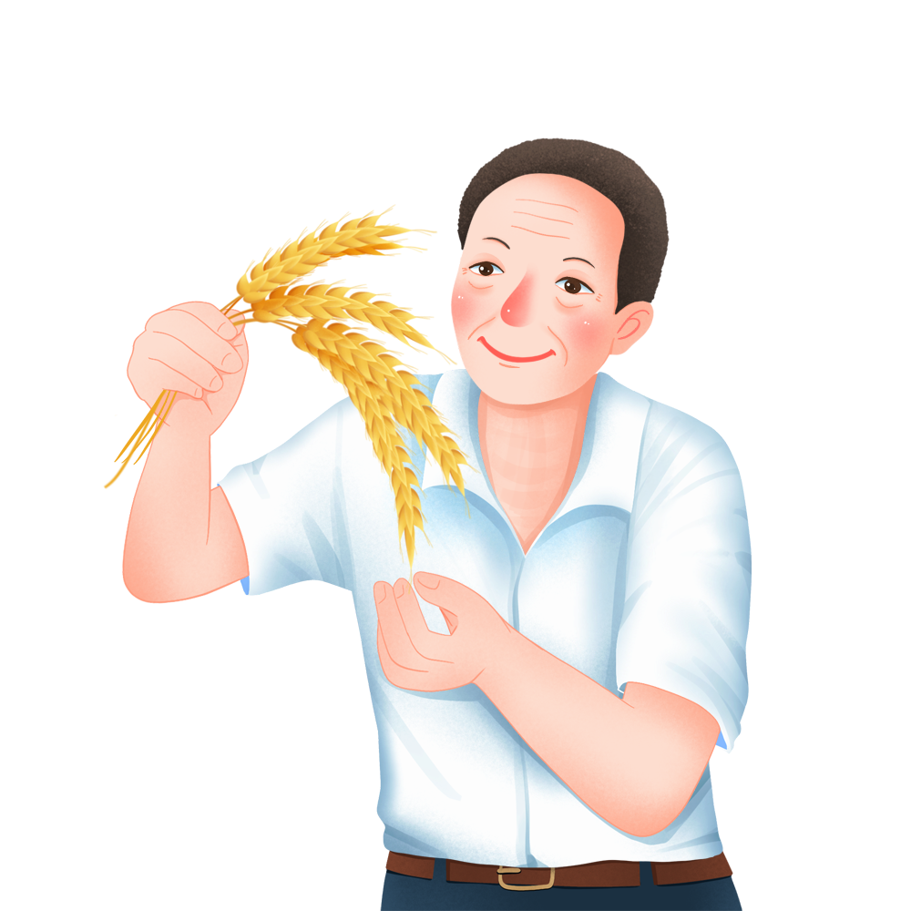 摄图网_401930566_拿着麦穗的袁隆平(非企业商用).png