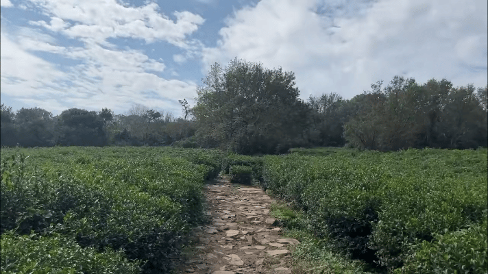 43D9B6ADA7BBBE8418A616F8005E6039.gif
