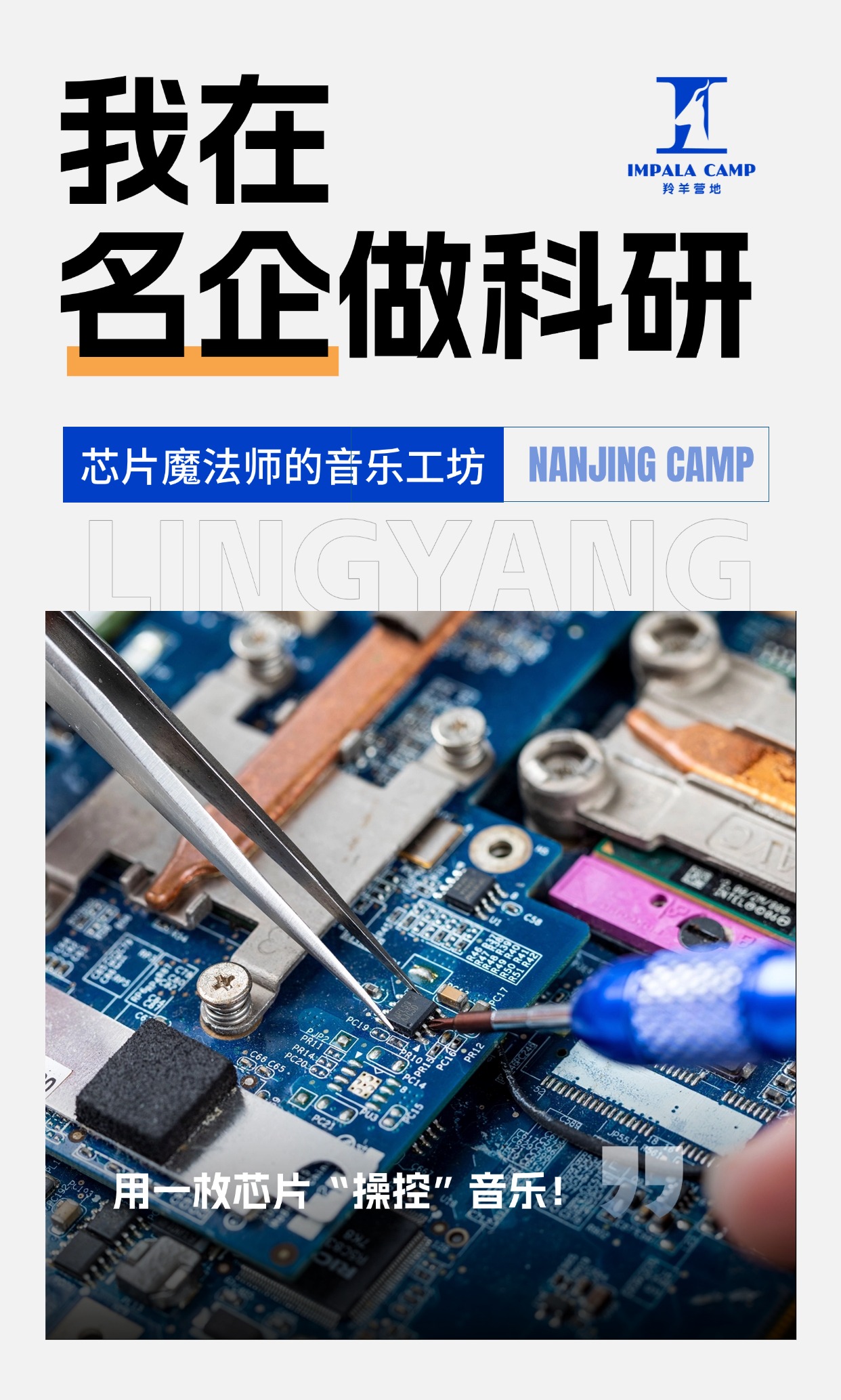 稿定设计-6.jpg