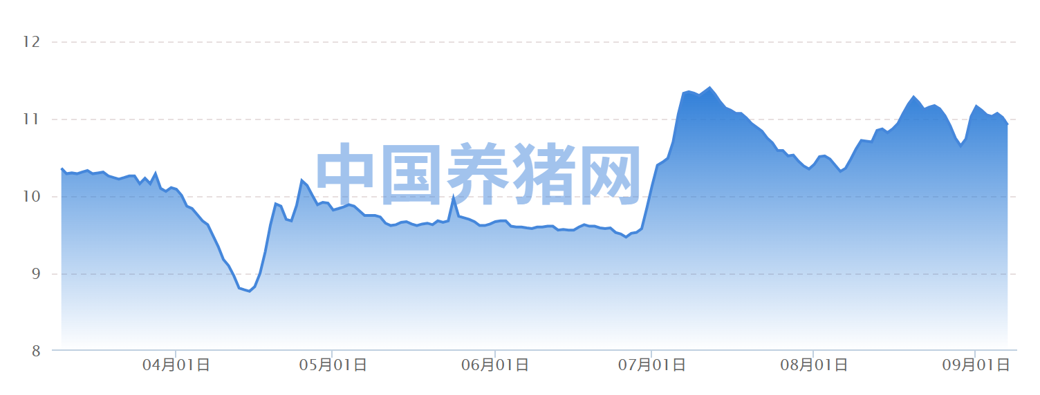 中国养猪.png