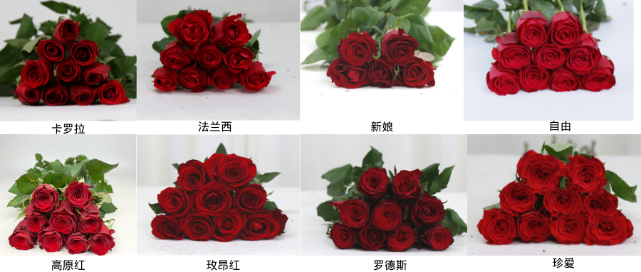 微信图片_20221213113833.png