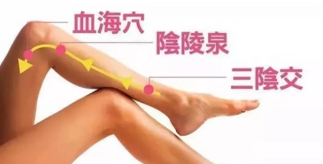 undefined 血海阴陵泉三阴交.jpg