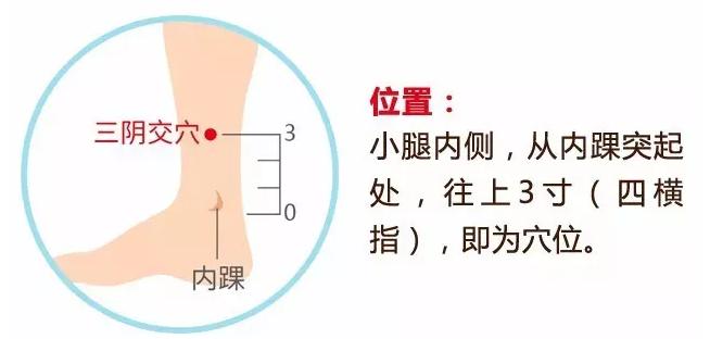 三阴交.jpg