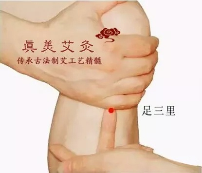 足三里.jpg