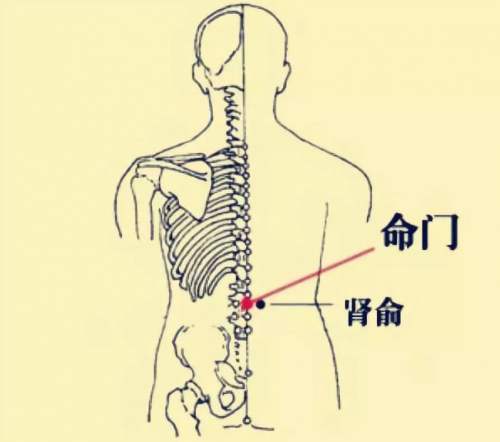 命门.jpg