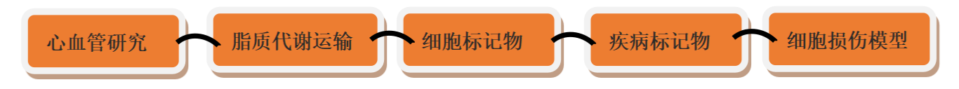 screenshot_2025-05-27_18-07-52.png