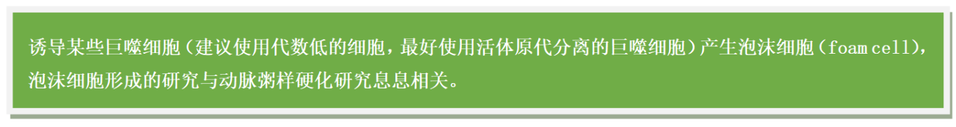 screenshot_2025-05-27_18-08-31.png