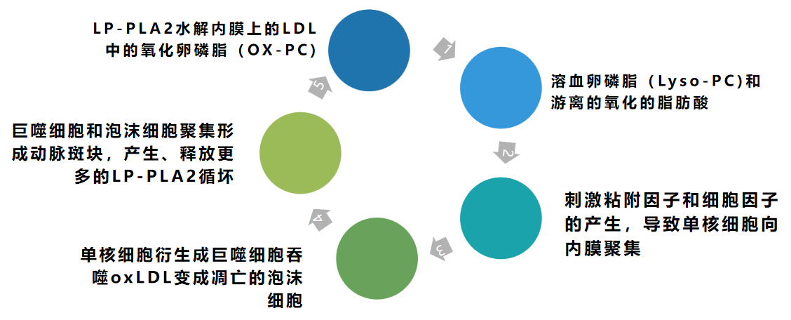 机制图.png