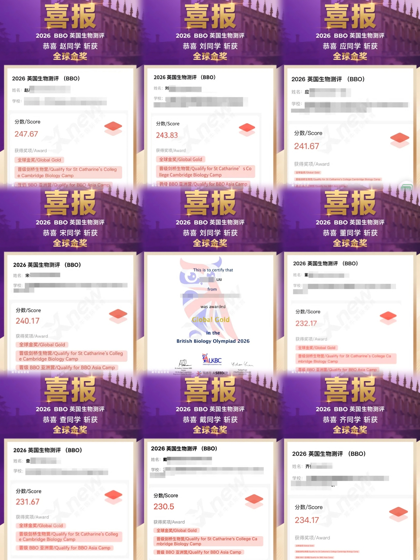 bbo喜报.jpg