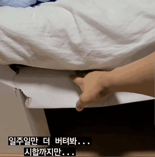 9.gif