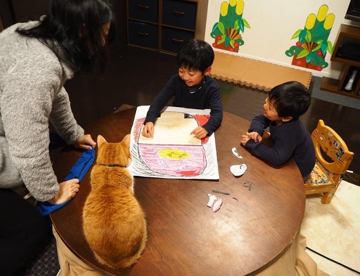 夫婦と２人の息子、猫２匹がいまの家族だ.jpg