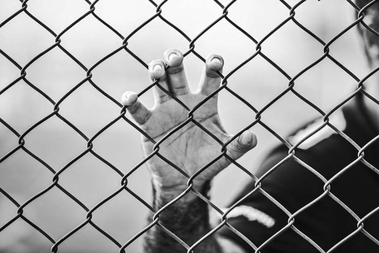 prison-fence.jpg