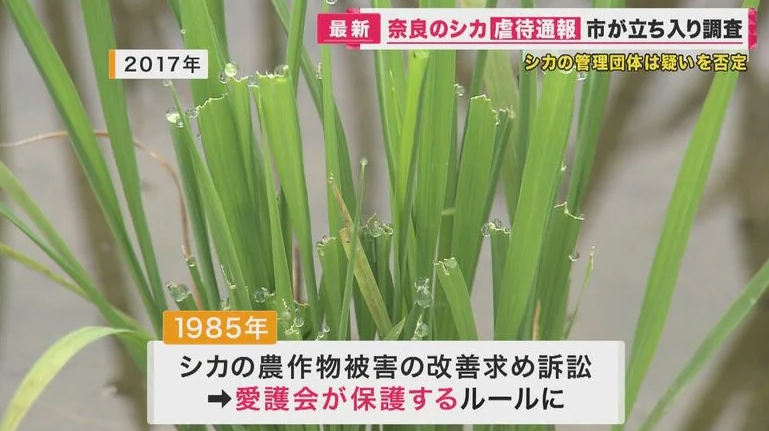 微信截图_20231008160347.jpg