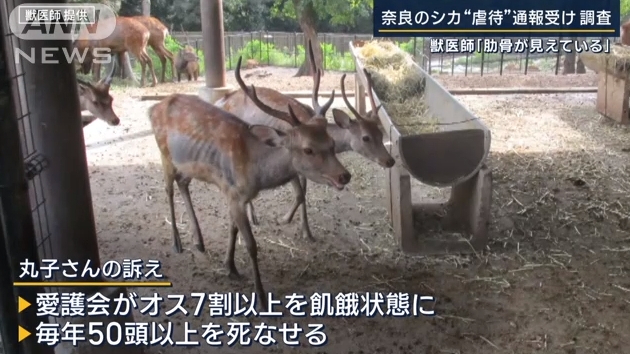 微信截图_20231008161300.jpg