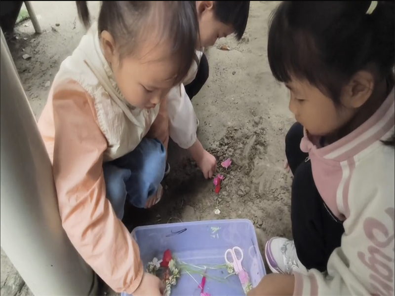 图片19.png 图片19.png